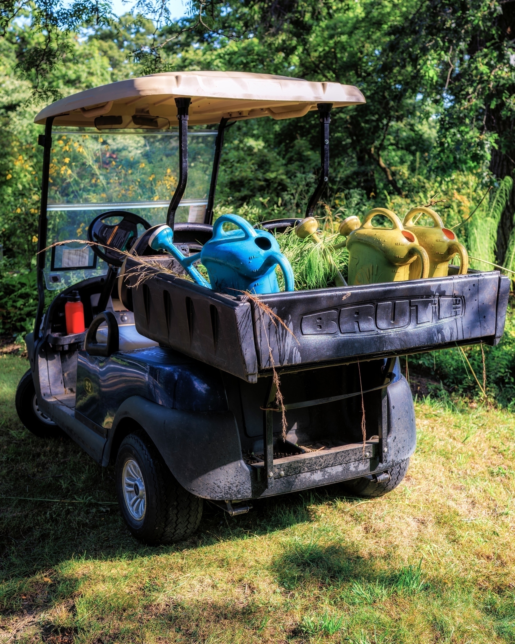 A cart is parked on grass, loaded with colorful watering cans in the back.