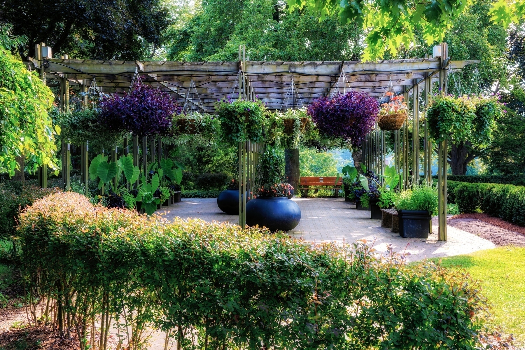 A garden pergola is adorned with vibrant hanging plants and surrounded by lush greenery.