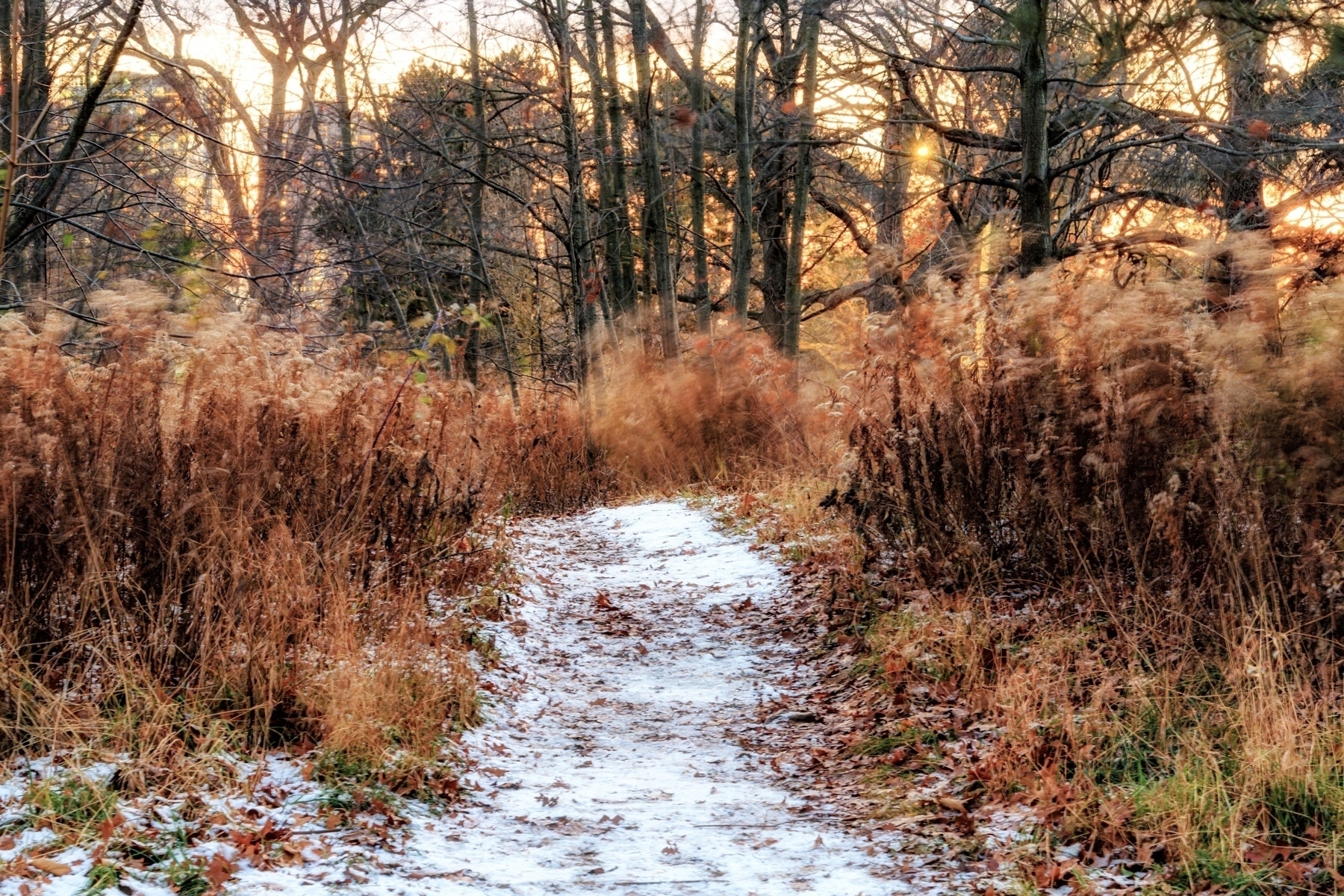 A narrow, snow-dusted path winds through a forest with bare trees and dry, brown foliage at sunset.